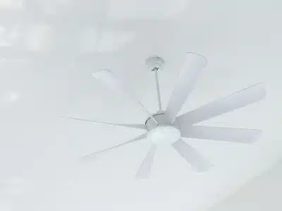 fans