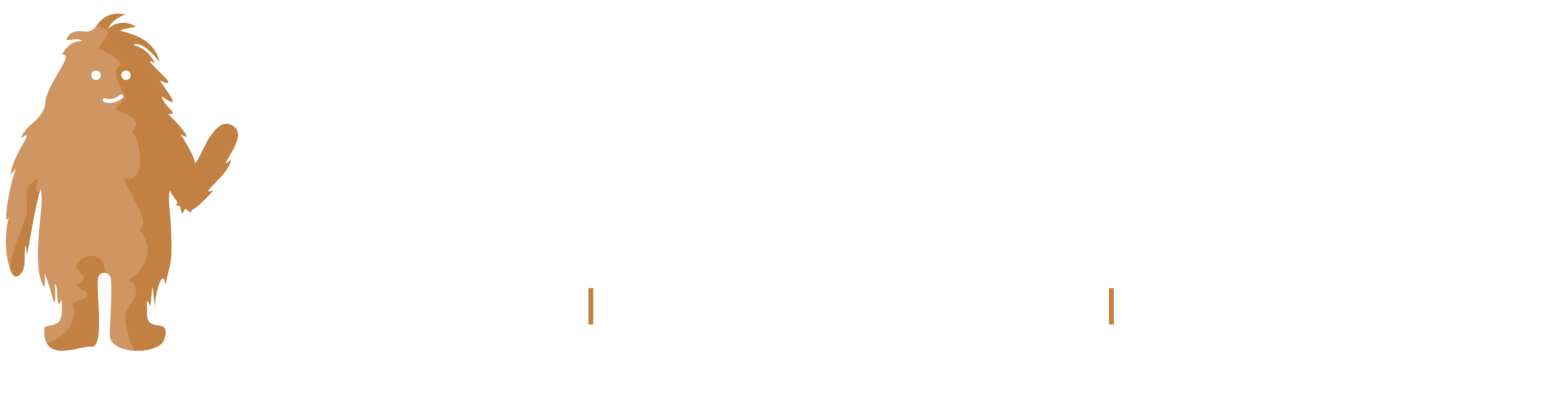 Sasquatch Heat Pumps
